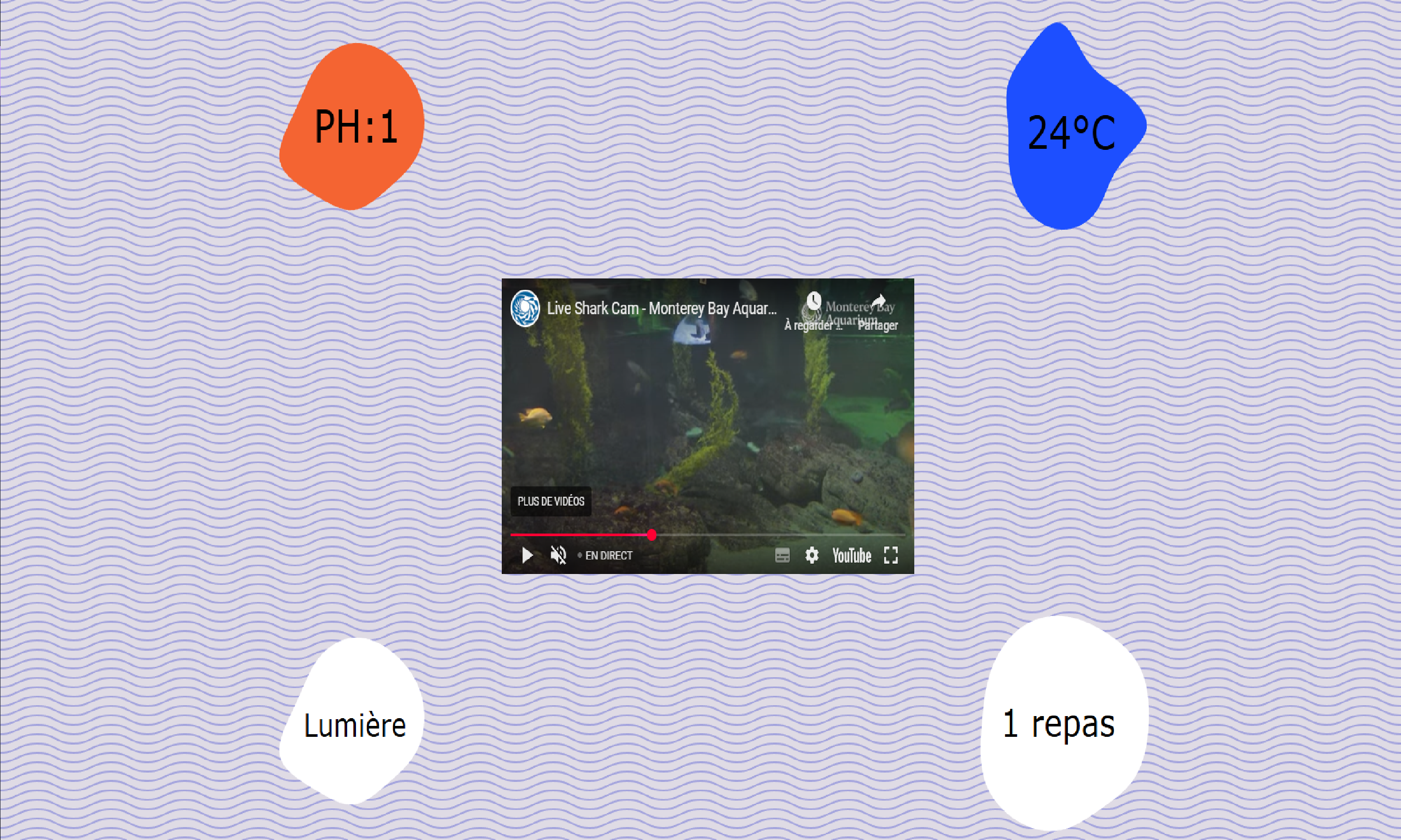 Aquarium commandé